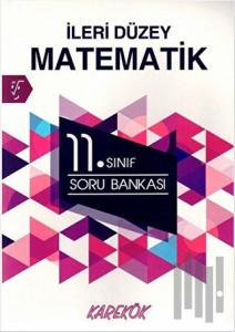 11. Sınıf İleri Düzey Matematik Soru Bankası