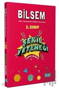 2. Sınıf Bilsem Hazırlık Şekil Yeteneği Tamamı Çözümlü