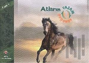 Atların Yaşam Döngüsü