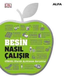 Besin Nasıl Çalışır? (Ciltli)