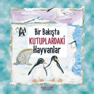 Bir Bakışta Kutuplardaki Hayvanlar