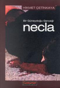 Bir Güneydoğu Gerçeği: Necla