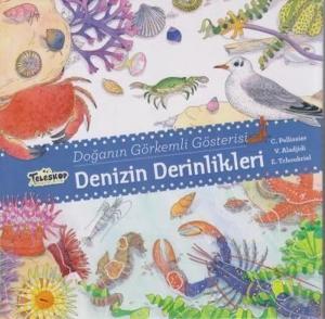 Denizin Derinlikleri - Doğanın Görkemli Gösterisi (Ciltli)