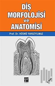Diş Morfolojisi ve Anatomisi