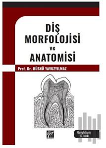 Diş Morfolojisi ve Anatomisi