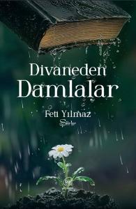 Divaneden Damlalar - Şiirler