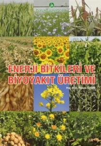 Enerji Bitkileri ve Biyoyakıt Üretimi