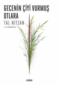 Gecenin Çiyi Vurmuş Otlara