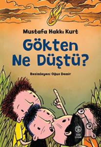Gökten Ne Düştü?