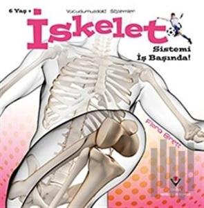 İskelet Sistemi İş Başında! - Vücudumuzdaki Sistemler
