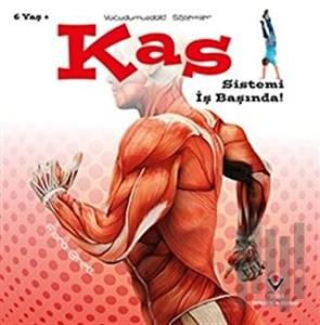 Kas Sistemi İş Başında! - Vücudumuzdaki Sistemler