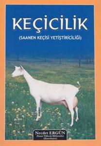 Keçicilik