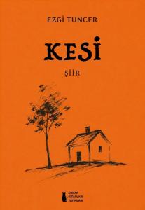 Kesi