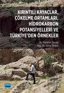 Kırıntılı Kayaçlar, Çökelme Ortamları, Hidrokarbon Potansiyelleri ve Türkiye’den Örnekler