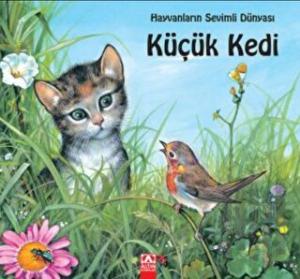 Küçük Kedi