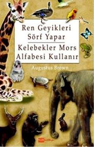 Ren Geyikleri Sörf Yapar Kelebekler Mors Alfabesi Kullanır