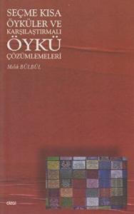 Seçme Kısa Öyküler ve Karşılaştırmalı Öykü Çözümlemeleri