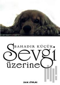 Sevgi Üzerine