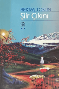 Şiir Çıkını