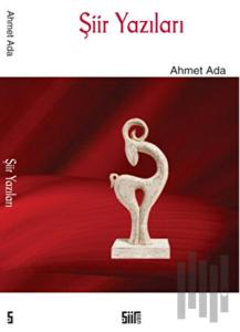 Şiir Yazıları
