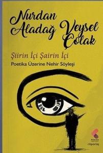 Şiirin İçi Şairin İçi