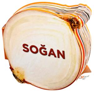 Soğan - Lezzetli Magnetler (Ciltli)