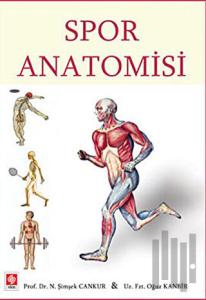 Spor Anatomisi