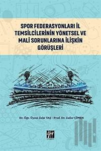 Spor Federasyonları İl Temsilcilerinin Yönetsel ve Mali Sorunlarına İlişkin Görüşleri