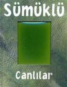 Sümüklü Canlılar