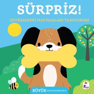 Sürpriz! Çevremdeki Hayvanları Tanıyorum (Ciltli)