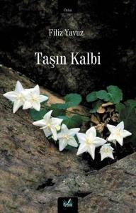 Taşın Kalbi