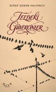Teldeki Güvercinler (Ciltli)