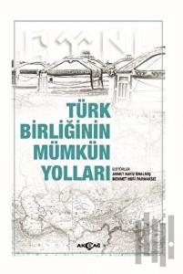 Türk Birliğinin Mümkün Yolları