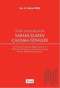 Türk Hukukunda Yabancıların Çalışma İzinleri