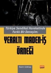 Türkiye Sendikal Hareketinde Farklı Bir Deneyim: Yeraltı Maden - İş Örneği