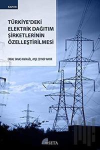 Türkiye'deki Elektrik Dağıtım Şirketlerinin Özelleştirilmesi