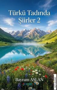 Türkü Tadında Şiirler - 2