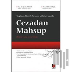 Yargıtay'ın Tümüyle Taranmış İçtihatları Işığında Cezadan Mahsup