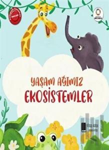 Yaşam Ağımız Ekosistemler