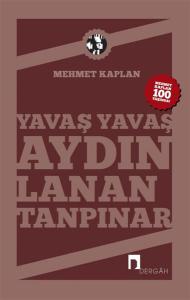 Yavaş Yavaş Aydınlanan Tanpınar