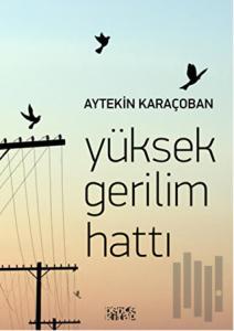 Yüksek Gerilim Hattı