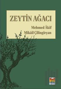 Zeytin Ağacı