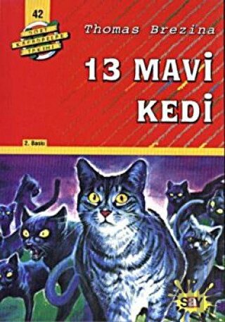 13 Mavi Kedi | Kitap Ambarı