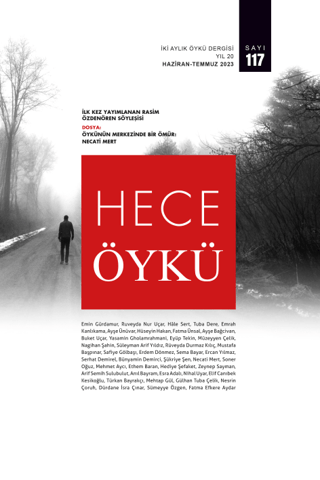 Hece Öykü İki Aylık Öykü Dergisi Sayı: 117 Haziran - Temmuz 2023 | Kit