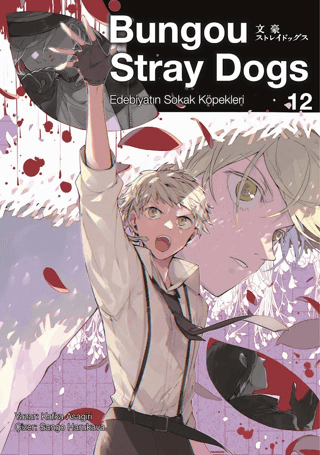 Bungou Stray Dogs 12 | Kitap Ambarı