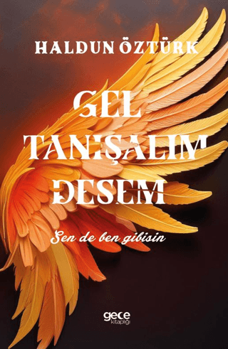 Gel Tanışalım Desem