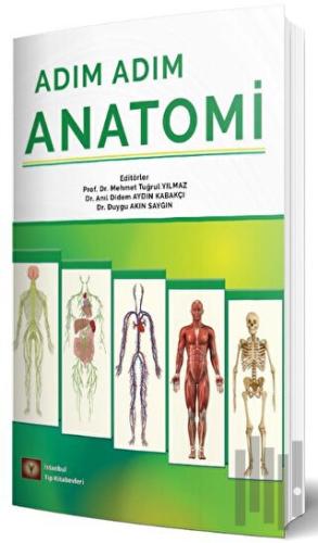 Adım Adım Anatomi