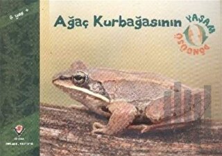 Ağaç Kurbağasının Yaşam Döngüsü | Kitap Ambarı