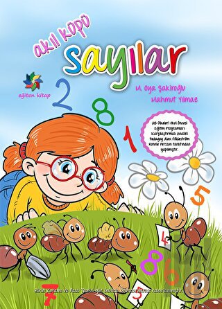 Akıl Küpü - Sayılar