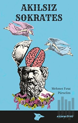 Akılsız Sokrates | Kitap Ambarı